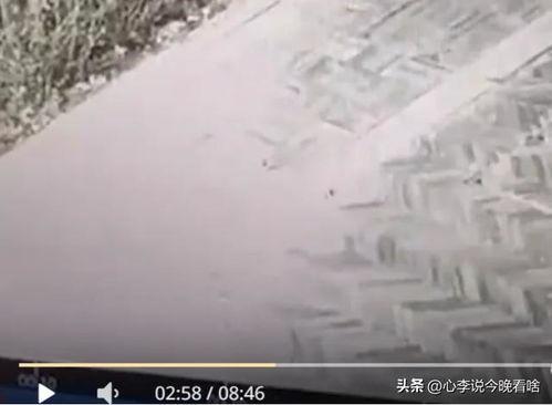 兰州老街爆料最新视频,最新视频揭秘老街蜕变与传承  第2张